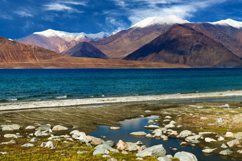 Ladakh 