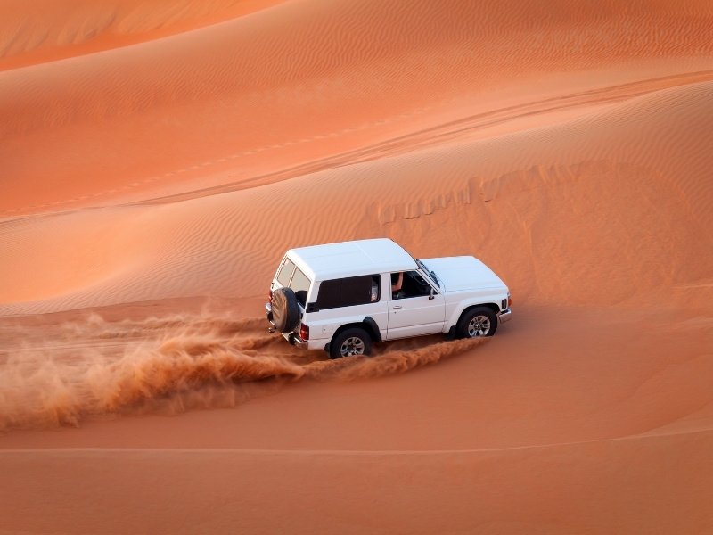 Desert Safari