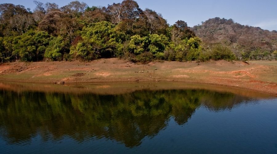 Periyar Tiger Reserve